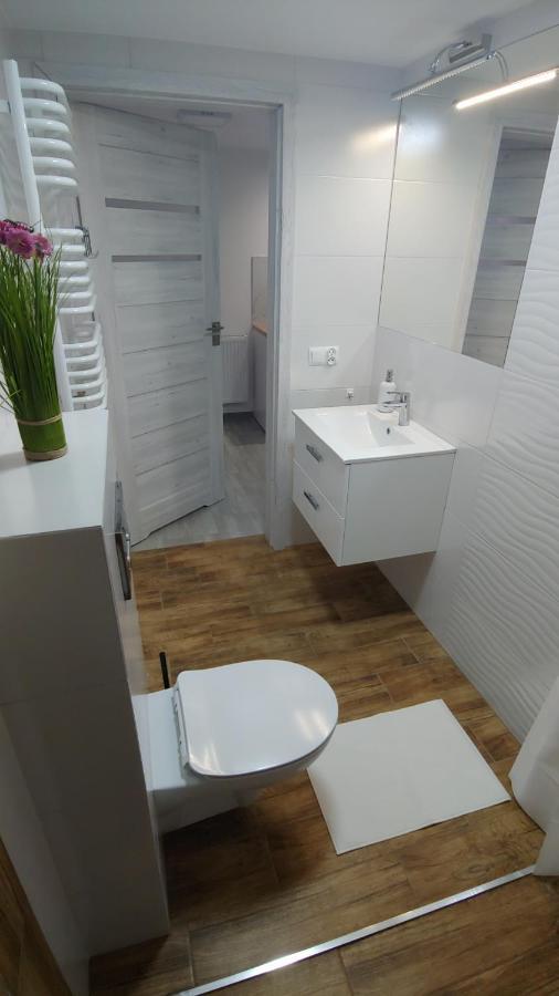 אוגוסטוב Apartament Arkadia Storczyk מראה חיצוני תמונה